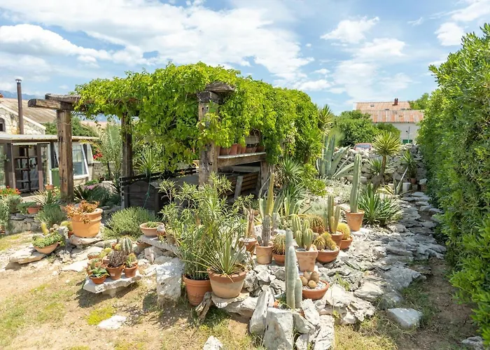 With Parking Space Razanac, Zadar - 5885 Lejlighed Ražanac